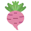 Turnip Ikona 64x64