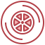Wheel icon 64x64