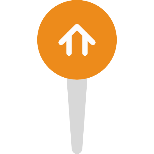 Pin icon
