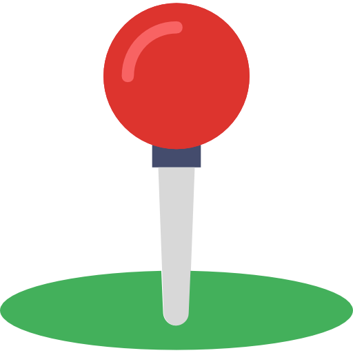 Pin icon