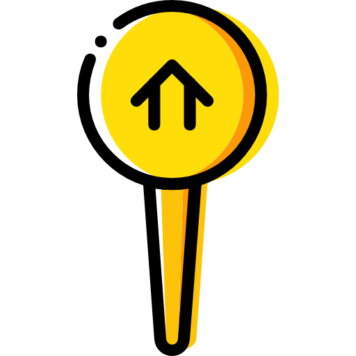 Pin icon