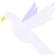 Dove icon 64x64