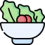 Salad icon 64x64