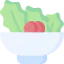 Salad icon 64x64