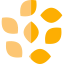Sesame icon 64x64