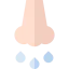 Runny nose 图标 64x64