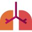 Lungs icon 64x64