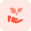 Leaves icon 64x64