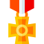 Insignia icon 64x64