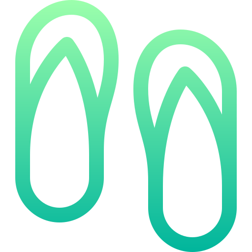 Flip flops icon