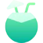 Coconut drink icon 64x64