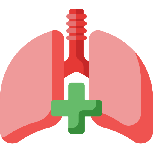 Lungs icon