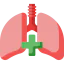 Lungs icon 64x64
