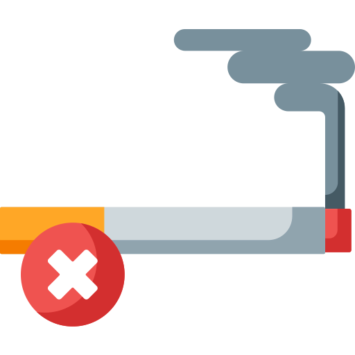 Quit icon