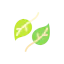 Leaves icon 64x64