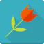 Rose icon 64x64