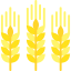 Wheat icon 64x64