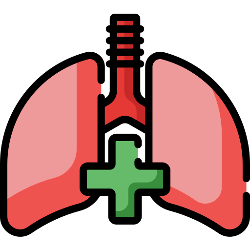 Lungs icon
