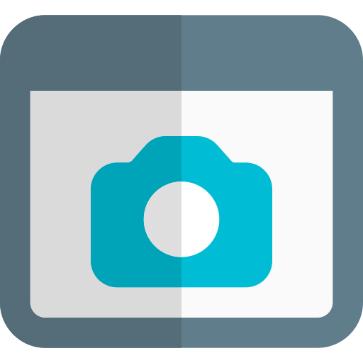 Web browser icon