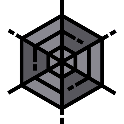 Spider web icon