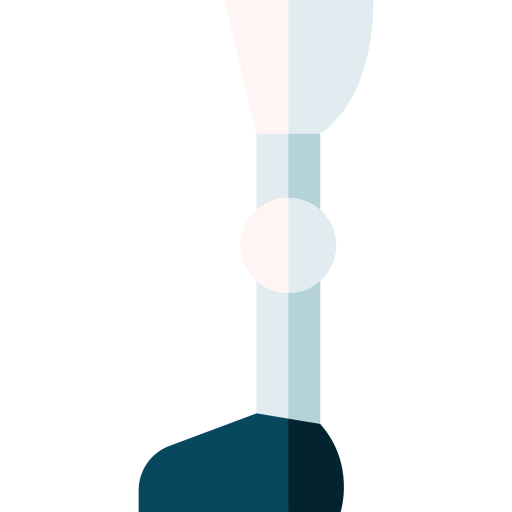 Prosthesis icon