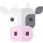 Cow icon 64x64