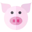Pig icon 64x64