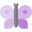 Butterfly icon 64x64