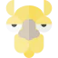 Camel icon 64x64