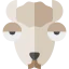 Llama icon 64x64
