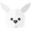 Rabbit icon 64x64