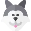 Wolf icon 64x64