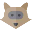 Racoon icon 64x64