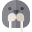 Walrus icon 64x64