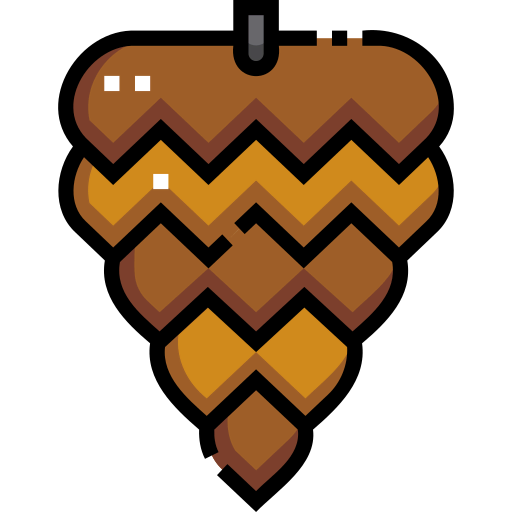Pine cone icon