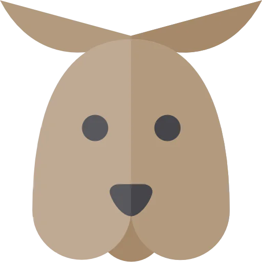 Kangaroo icon