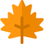 Maple leaf icon 64x64