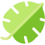 Leaf icon 64x64