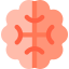 Brain icon 64x64