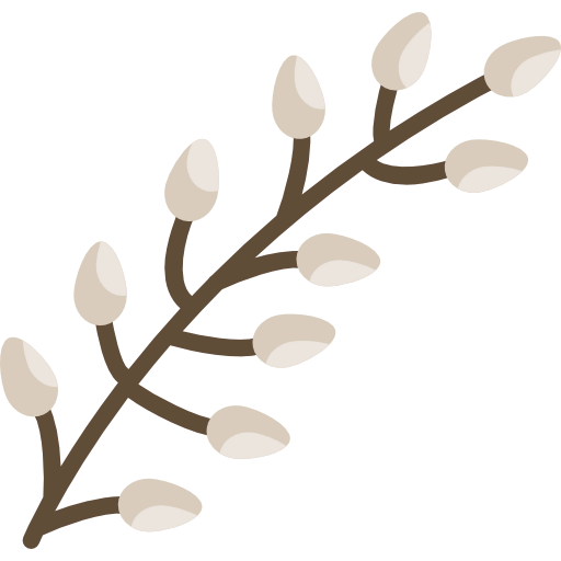 Willow icon