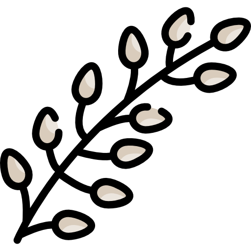 Willow icon