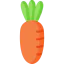 Carrot icon 64x64