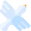 Dove icon 64x64