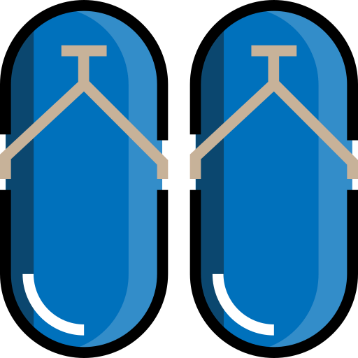 Flip flops icon