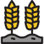 Wheat icon 64x64