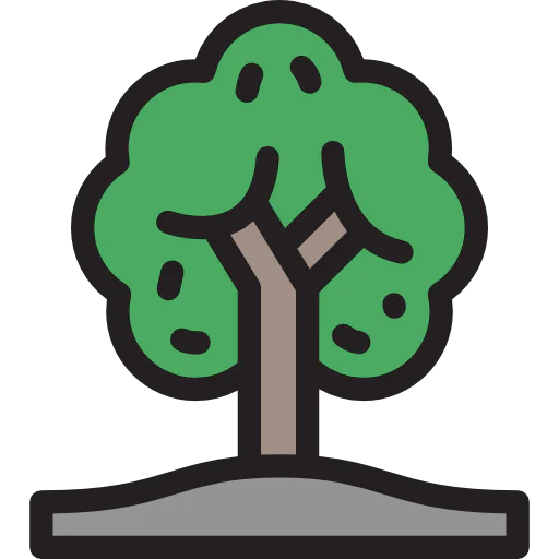 Tree 상