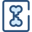 Bone icon 64x64