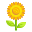 Sunflower icon 64x64