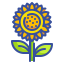 Sunflower icon 64x64
