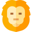 Lion icon 64x64